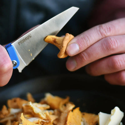Primus FieldChef Pocket Knife Folding Blade - Shop  Camping Knives at  Trekaline