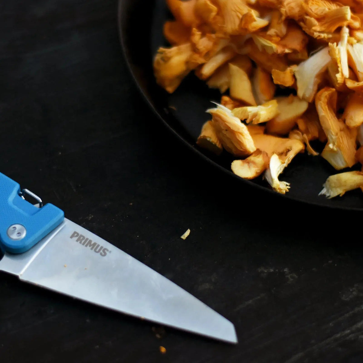 Primus FieldChef Pocket Knife Folding Blade - Shop  Camping Knives at  Trekaline