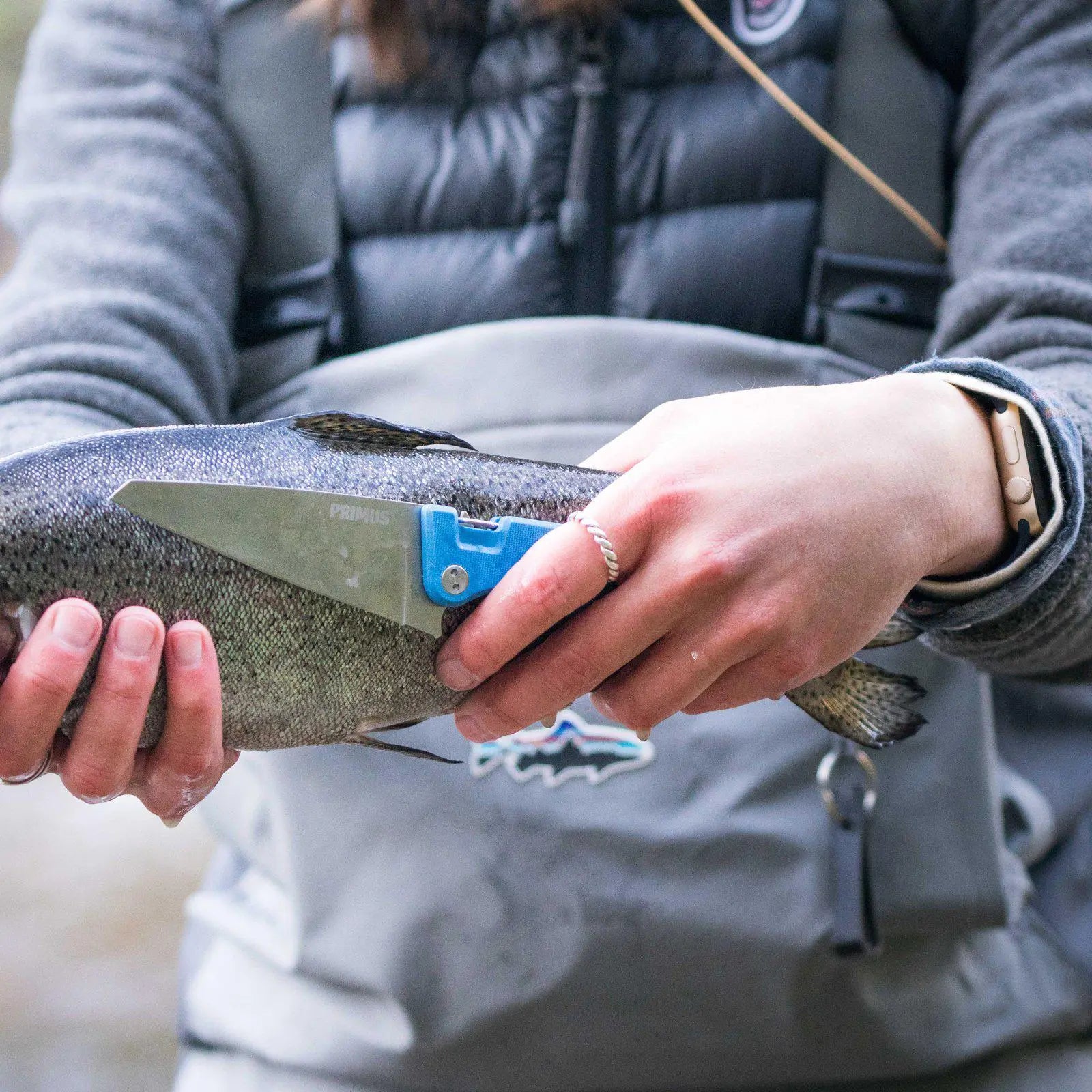 Primus FieldChef Pocket Knife Folding Blade - Shop  Camping Knives at  Trekaline