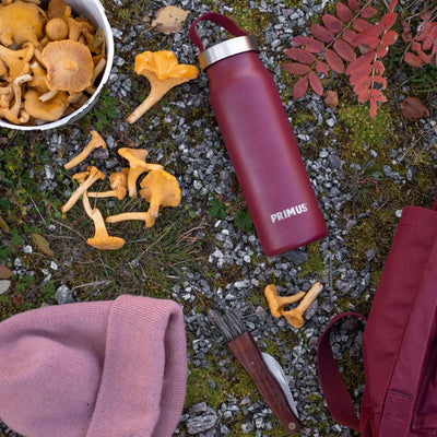 Primus Klunken Single Wall Bottle 500 ml - Shop  Tumblers at  Trekaline