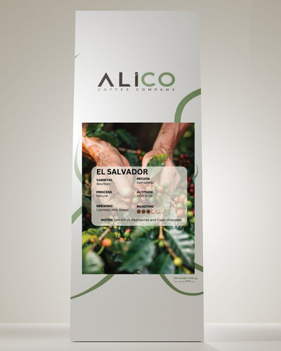 Alico Coffee El Salvador Ilamapetec