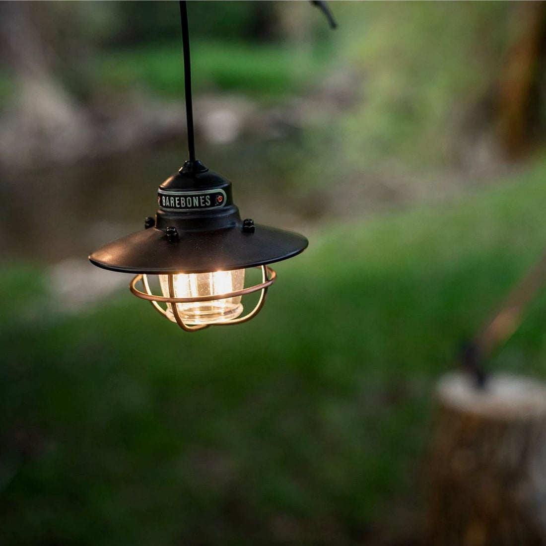Edison Pendant Light - Shop  Electric Lanterns at  Trekaline