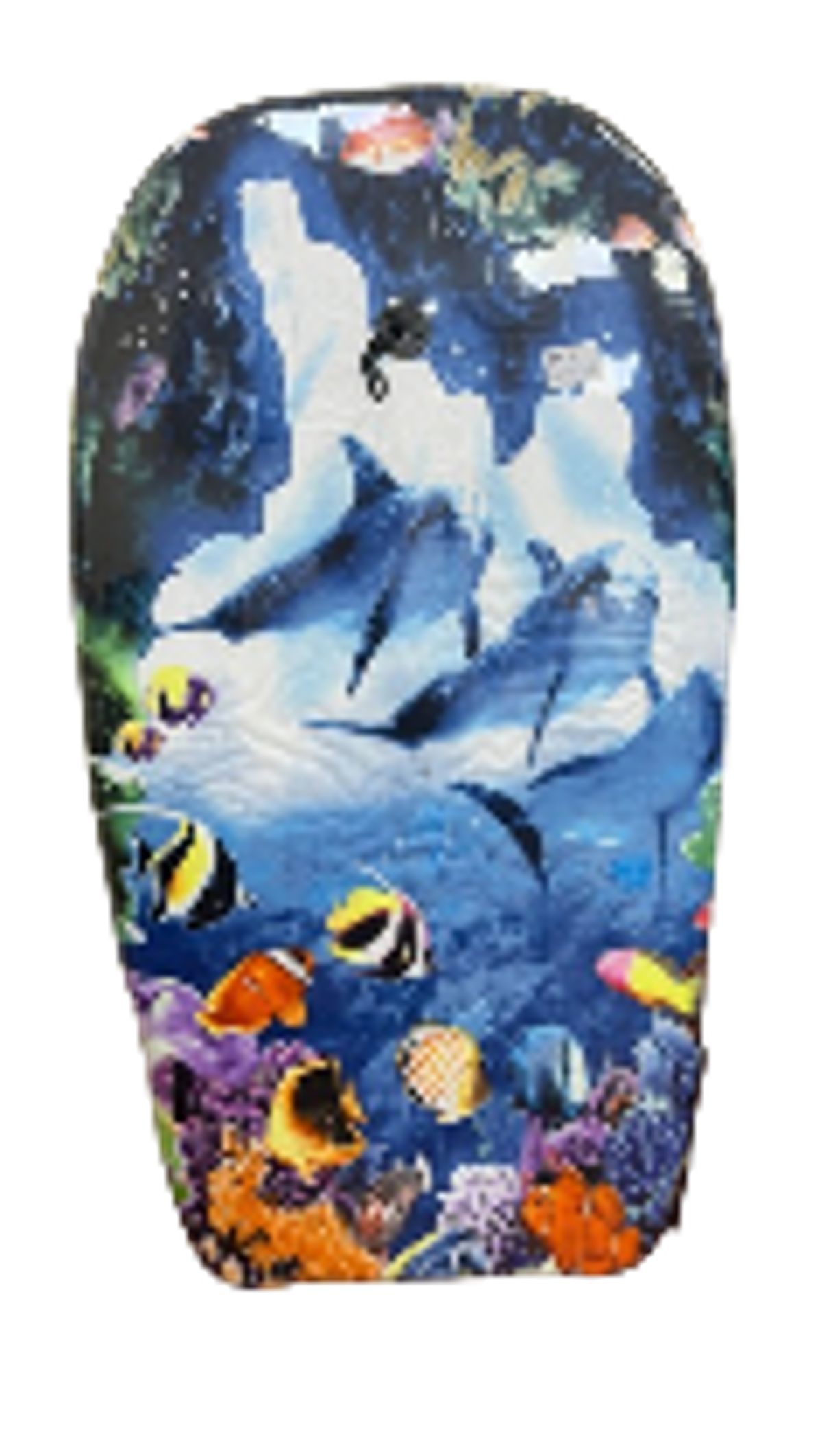 Procamp Wave Surfing Body Board - Shop  Swimming Gear at  Trekaline