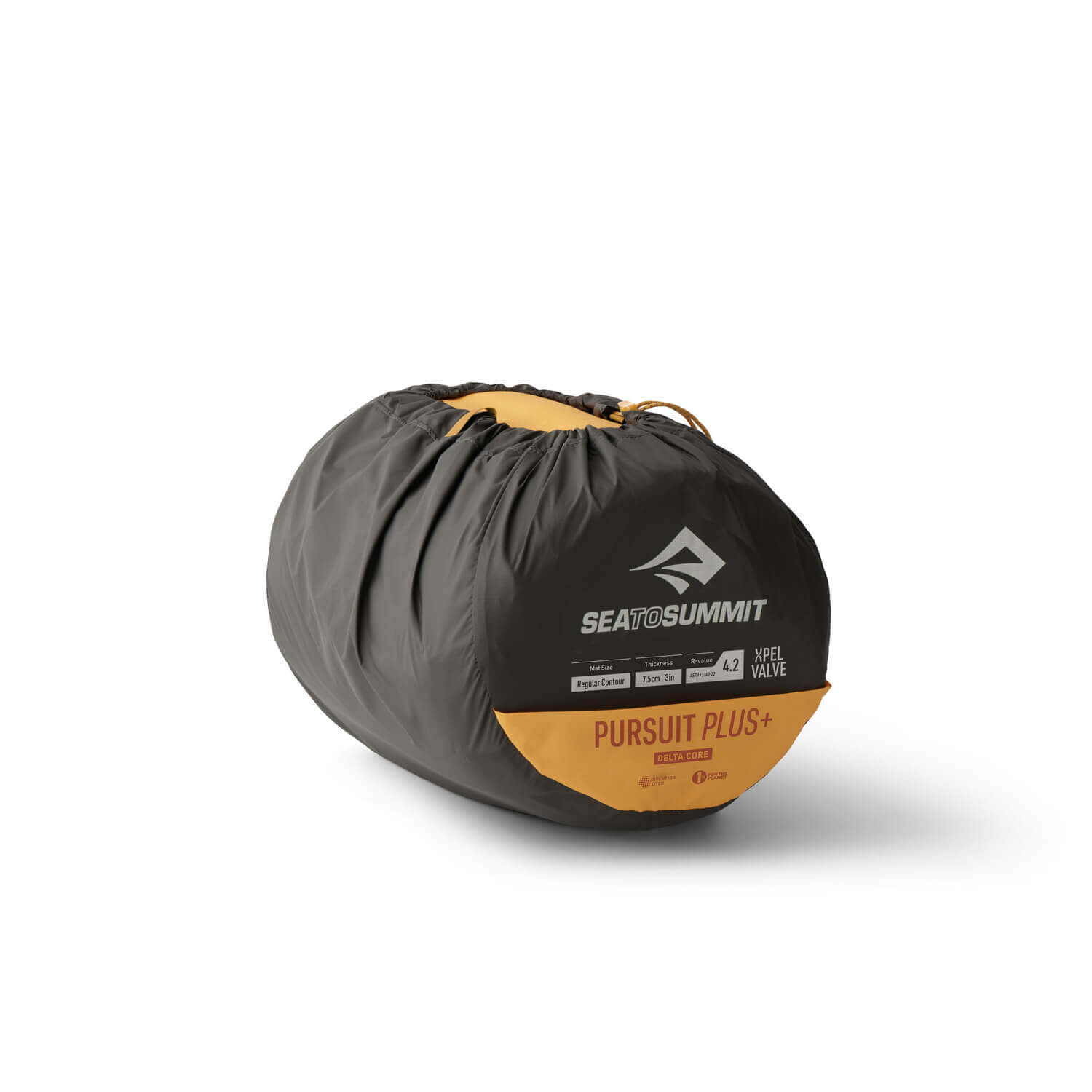 Sea to Summit Pursuit Plus Self-Inflating Sleeping Pad - Shop  Camp Mattresses at  Trekaline