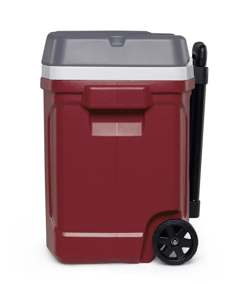 Igloo Latitude Roller Cooler 30 Quart - Shop  Hard-sided Coolers at  Trekaline