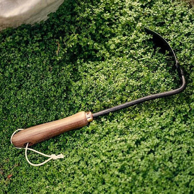 Square Hand Hoe - Shop  Garden Tools at  Trekaline