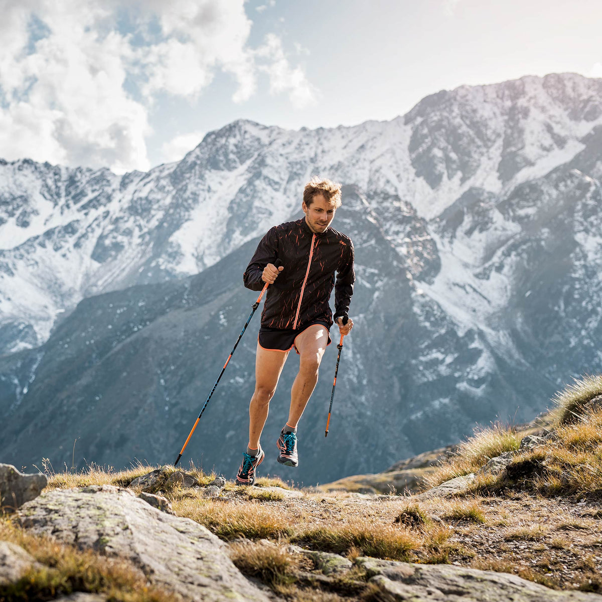 Masters Trecime Trekking Pole - Shop  Trekking Poles at  Trekaline