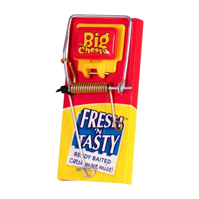 STV Big Cheese Fresh Baited Mouse Trap - Shop Pest Control Traps at Trekaline