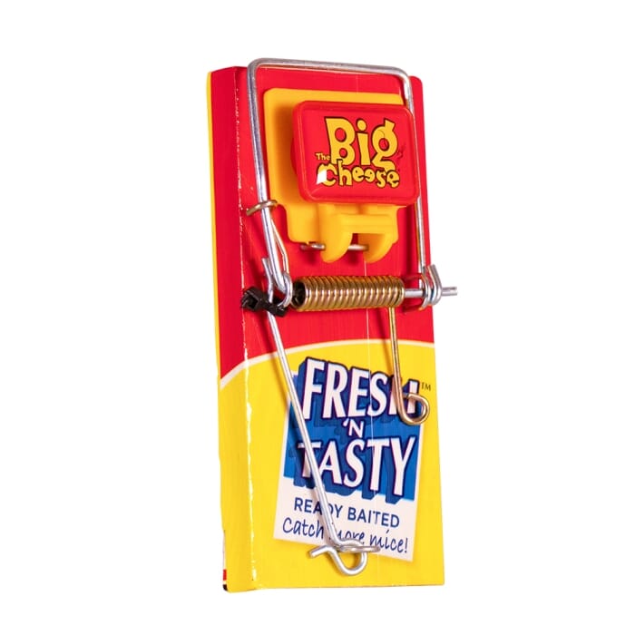 STV Big Cheese Fresh Baited Mouse Trap - Shop Pest Control Traps at Trekaline