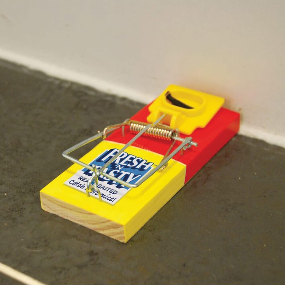 STV Big Cheese Fresh Baited Mouse Trap - Shop Pest Control Traps at Trekaline