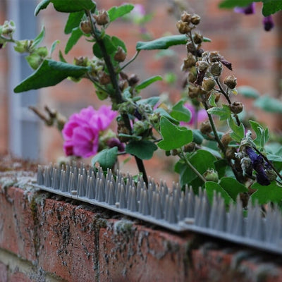 STV Big Cheese Prickle Strip Garden Fence Topper 45 cm