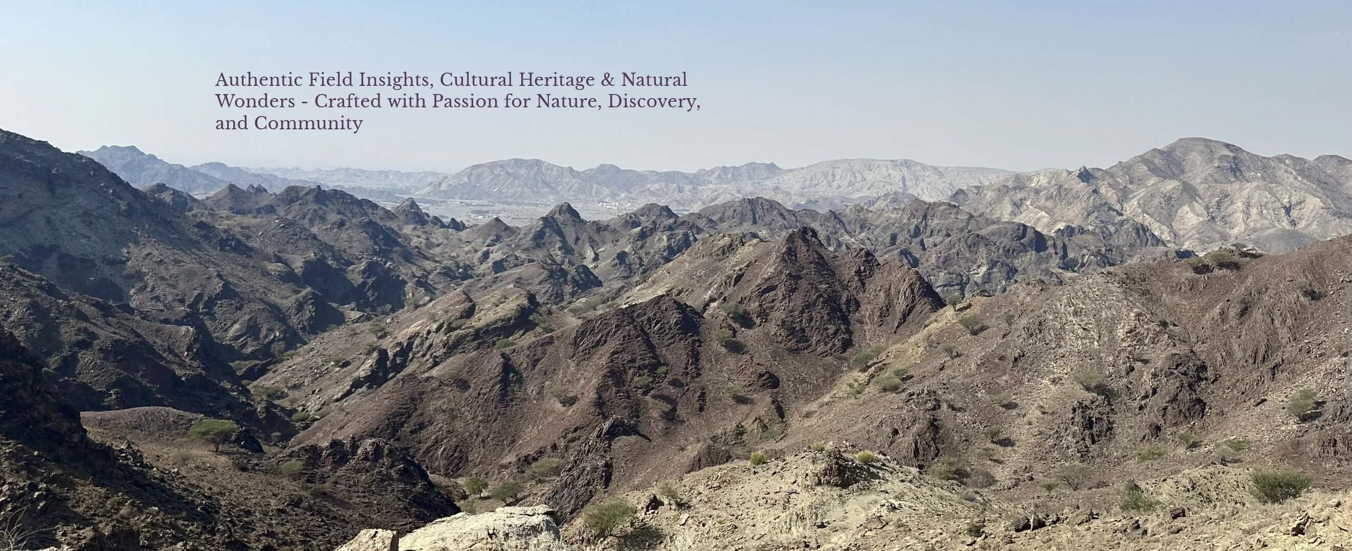 In the Hajar Mountains: Essential UAE Hiking Guidebook by Nadia Saleem