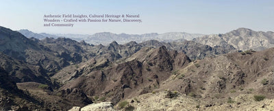 In the Hajar Mountains: Essential UAE Hiking Guidebook by Nadia Saleem