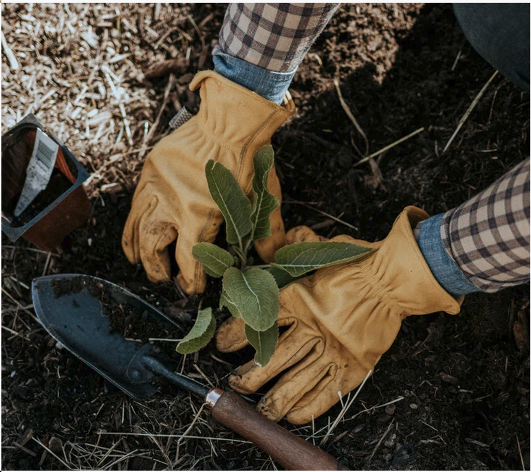 Barebones Spade Hand Garden Trowel - Shop  Trowels at  Trekaline