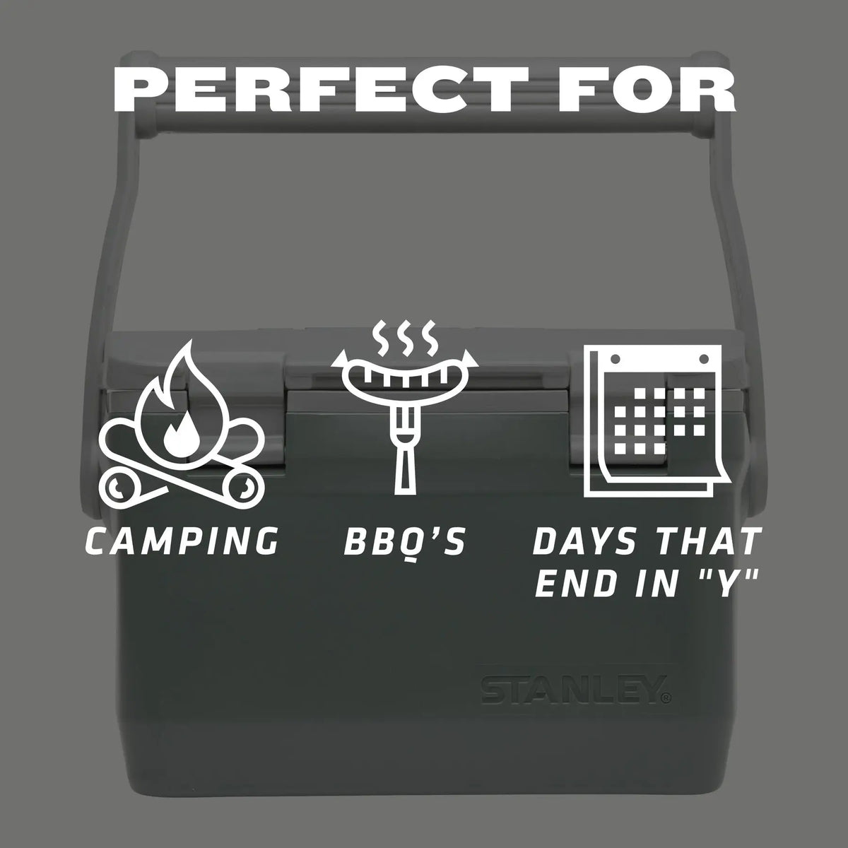 Stanley Adventure Series Easy Carry Lunch Cooler 6.6L - Shop  Hard-sided Coolers at  Trekaline