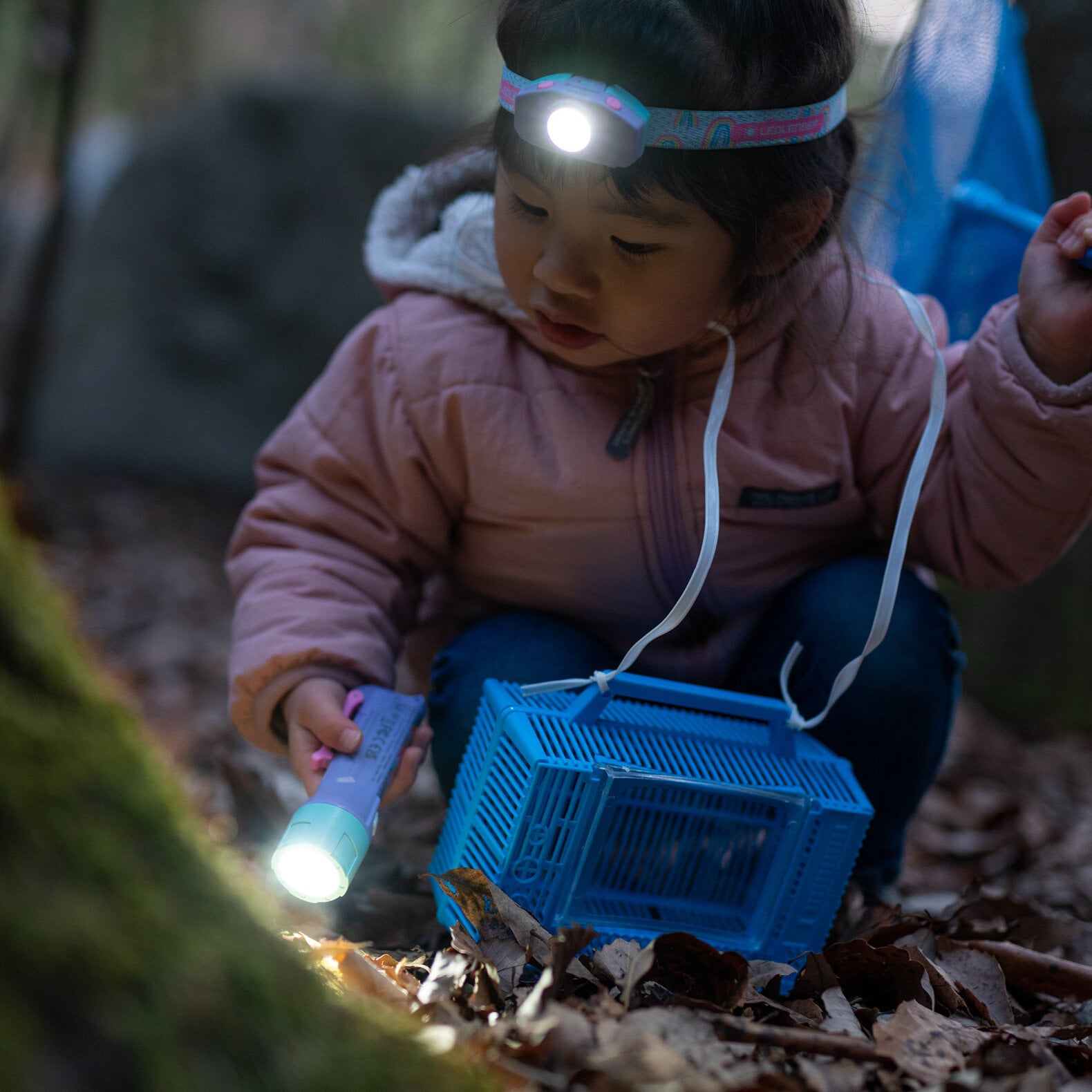Ledlenser Kidbeam 4 Kids Flashlight - Shop  Flashlights at  Trekaline