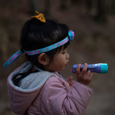 Ledlenser Kidbeam 4 Kids Flashlight - Shop  Flashlights at  Trekaline