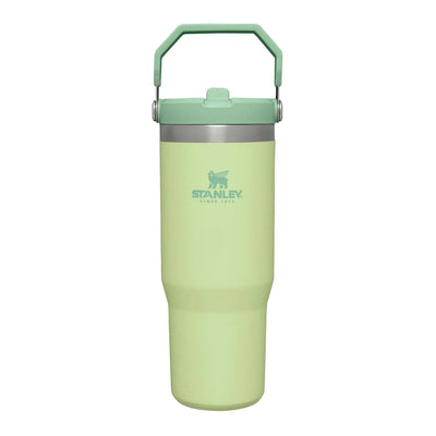 Stanley Classic IceFlow Flip Straw Tumbler - 30 oz / 890 ml