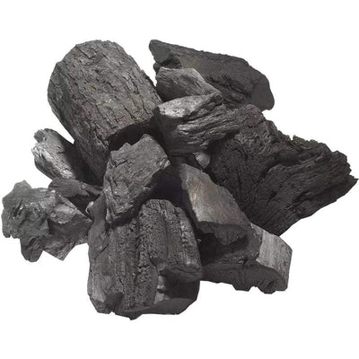 Procamp Premium Charcoal Lumps - Shop  Alternate Fuels at  Trekaline