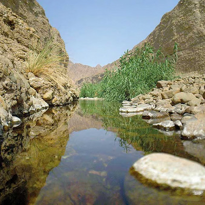 A scenic landscape photograph of a rocky canyon with a clear stream flowing through it, reflecting the brown cliffs, green reeds, and blue sky.