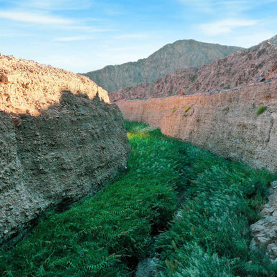 A scenic landscape photograph of a deep rocky canyon with steep brown and beige cliffs on either side, a lush green valley floor, and distant mountains under a blue sky.