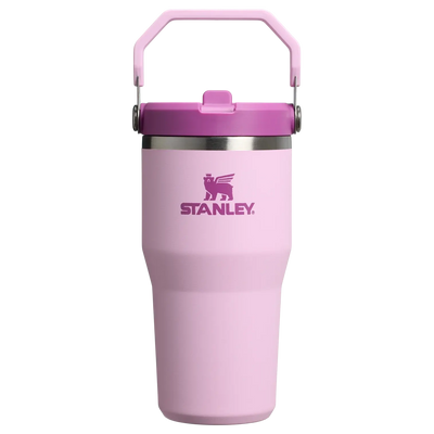 Stanley IceFlow Flip Straw Tumbler - Insulated Cup - 20 oz / 600 ml