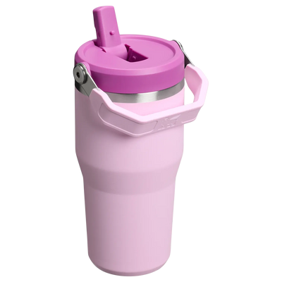 Stanley IceFlow Flip Straw Tumbler - Insulated Cup - 20 oz / 600 ml