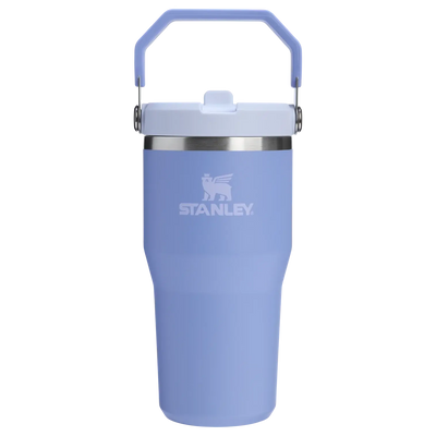 Stanley IceFlow Flip Straw Tumbler - Insulated Cup - 20 oz / 600 ml