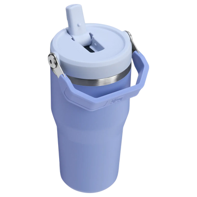 Stanley IceFlow Flip Straw Tumbler - Insulated Cup - 20 oz / 600 ml