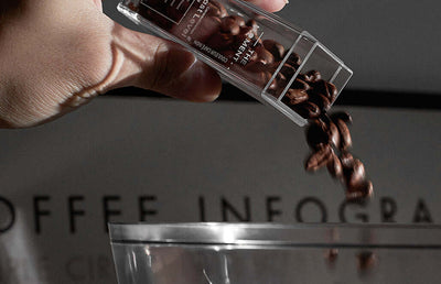 Muvna Angel Coffee Bean Cellars 50 ml 6pcs Walnut