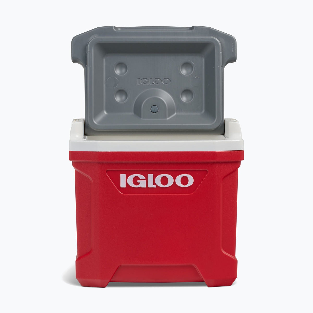 Igloo Latitude Hard Cooler Box 30 Quart - Shop  Hard-sided Coolers at  Trekaline