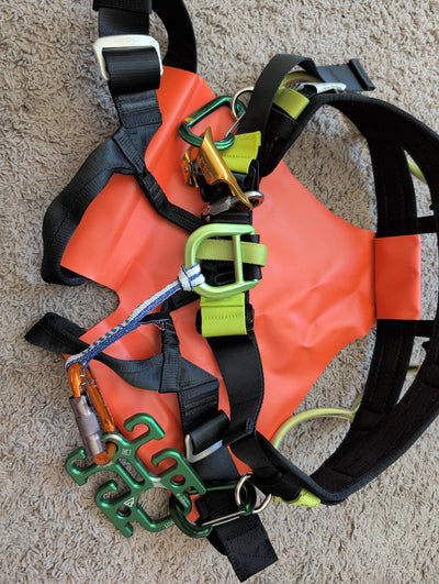 Edelrid Iguazu Sit Harness - Size 2