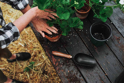 Garden Scoop - Shop  Garden Tools at  Trekaline
