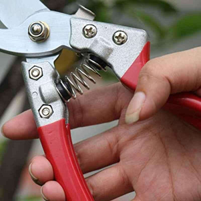 Procamp Stainless Garden Pruning Scissors - Shop  Garden Tools at  Trekaline