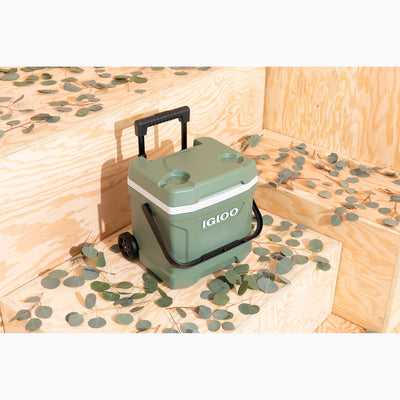 Igloo Ecocool Latitude Roller Cooler 16 Quart - Shop  Hard-sided Coolers at  Trekaline