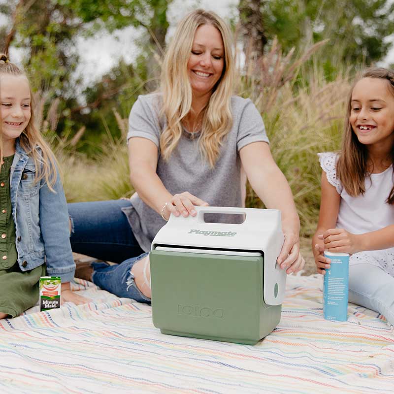 Igloo Ecocool Little Playmate Cooler 7 Quart - Shop  Hard-sided Coolers at  Trekaline