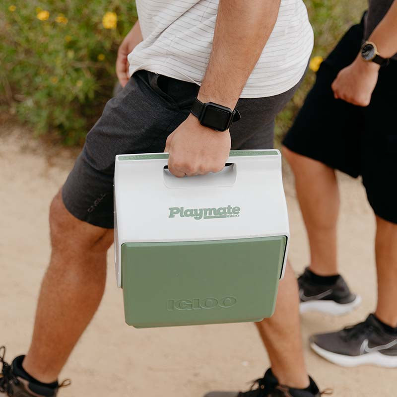 Igloo Ecocool Little Playmate Cooler 7 Quart - Shop  Hard-sided Coolers at  Trekaline