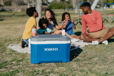 Igloo Latitude Passive Hard Cooler Box 52 Quart - Shop  Hard-sided Coolers at  Trekaline