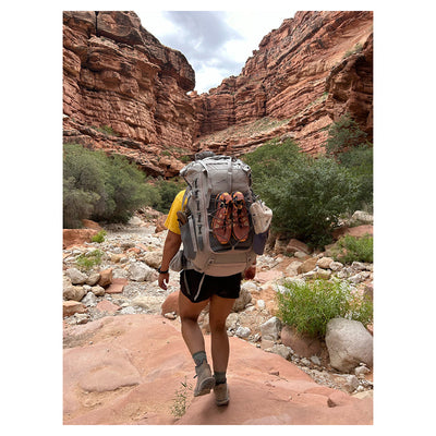 Alps Mountaineering Nomad RT 50 Hiking Backpack - Shop  Backpacking Packs at  Trekaline