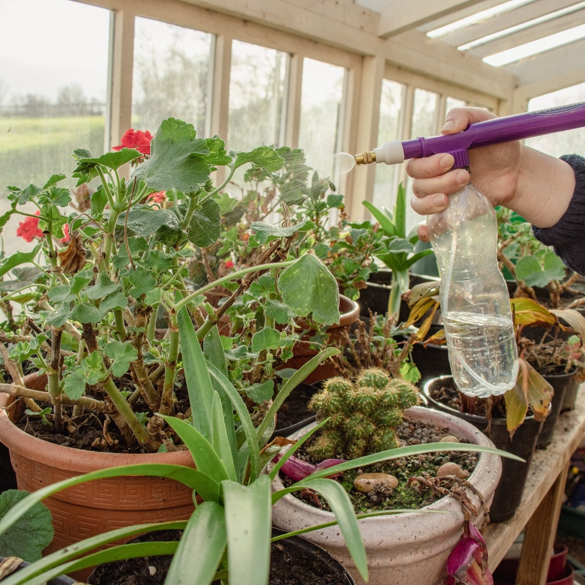 STV Recycled Soda Bottle Pressure Sprayer
