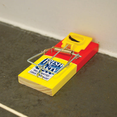 STV Big Cheese Fresh Baited Mouse Trap 2-Pack