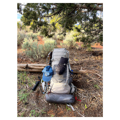 Alps Mountaineering Nomad RT 50 Hiking Backpack - Shop  Backpacking Packs at  Trekaline