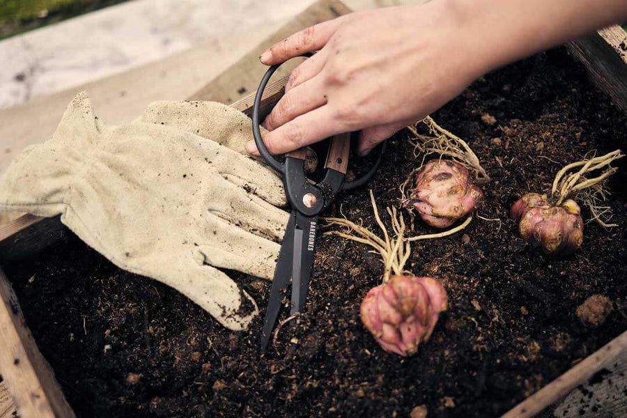 Garden Scissors - Shop  Garden Tools at  Trekaline