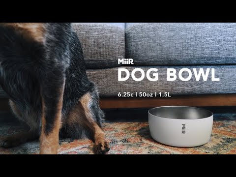 MiiR Dog Bowl 50 oz