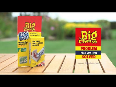 STV Big Cheese Mouse and Rat Attractant 26 g