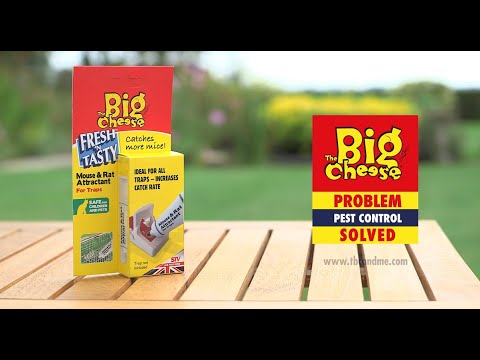 STV Big Cheese Mouse and Rat Attractant 26 g