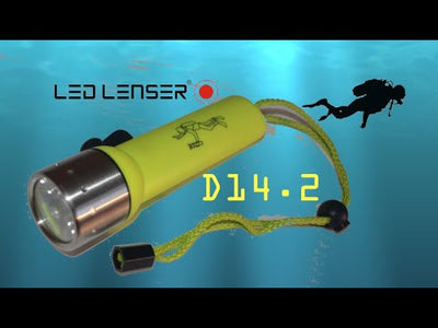 Ledlenser D14.2 Diving Flashlight