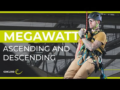 Edelrid Megawatt Descender