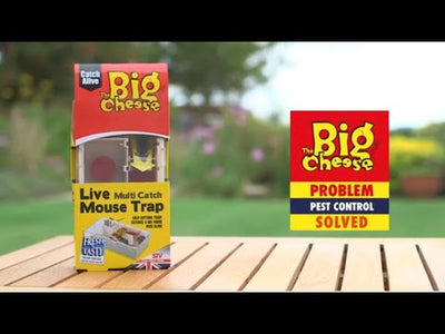 STV Big Cheese Live Multi-Catch Mouse Trap