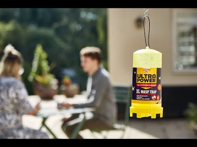 STV Zero In Ultra Power XL Wasp Trap